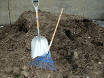 rake and shovel in dirt