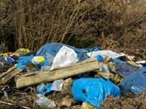 Sanitation Enforcement Photo of garbage on roadside