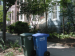 Trash and recycling cans on a residential street